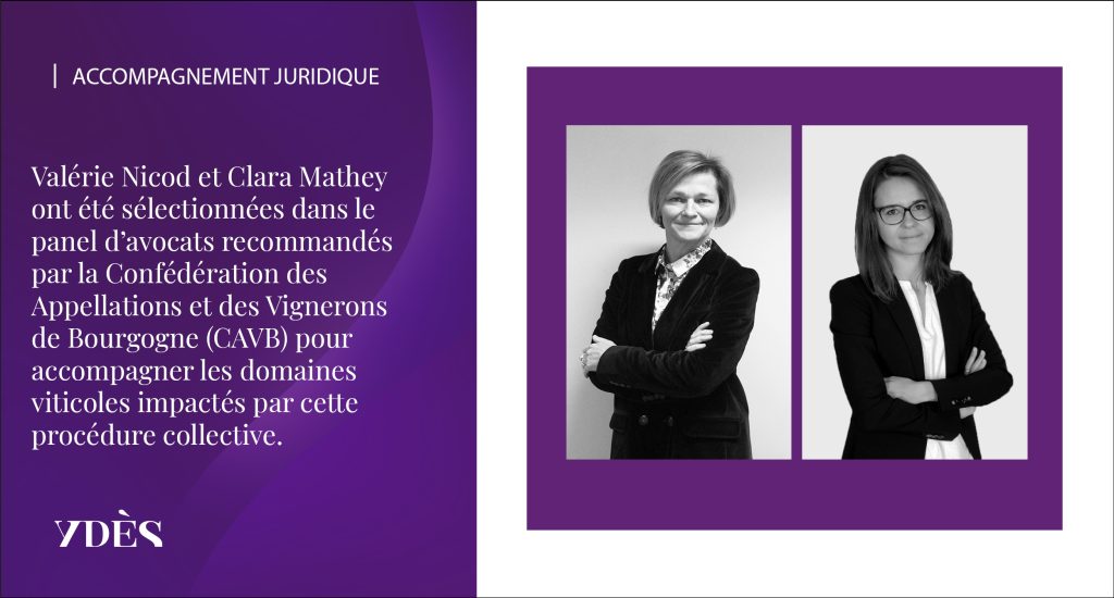 Ydès - Accompagnement viticulteurs